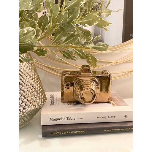 [JC0125-RSGD] Camara dorada