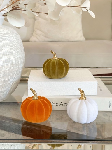 Pumpkin velvet pequeña (3 colores)