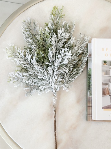 [2825206FG] Rama de cedro nevado