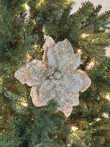 [XG903-PT] Magnolia platino Ice