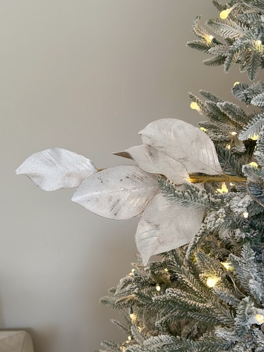 [SA10218] Rama hoja de magnolia nevada y champagne