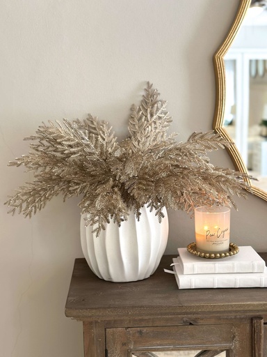 [56067a] Rama frondosa champagne