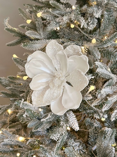 [F4506658] Magnolia blanca con perlas