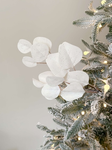 [F4506687] Rama de eucalipto blanco escarchado