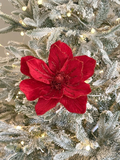 [F4542131] Magnolia roja velvet