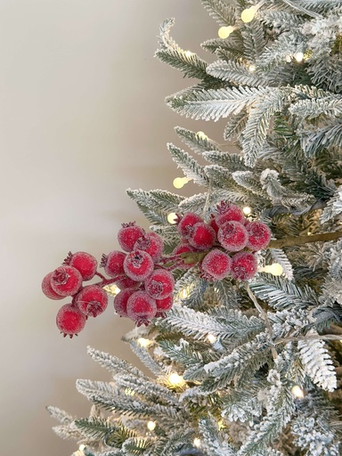 [95429] Rama de cranberry roja nevada