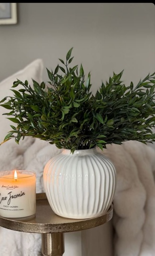 [02672BH] Rama ruscus bush